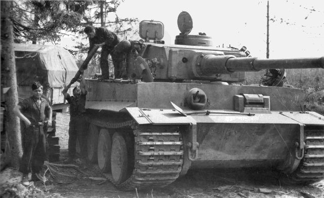 Tiger
