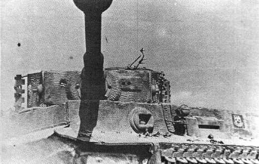 Pz6_21.jpg