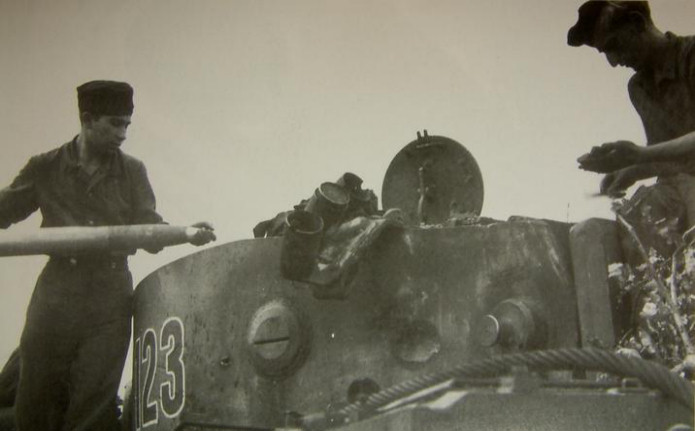 Tiger123_04a.jpg