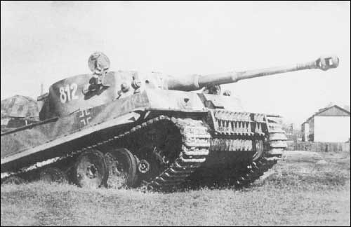 Tiger