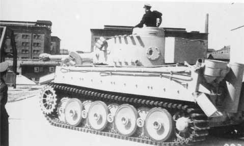Early Tiger