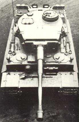 Early Tiger